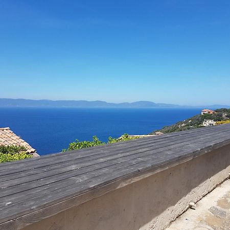 Studio Climatise Ile Naturiste Du Levant Hyères Dış mekan fotoğraf